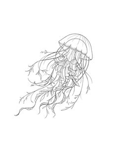 a black and white drawing of a jellyfish