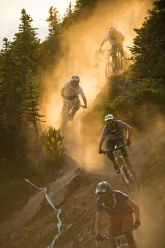 three mountain bikers are racing down a trail in the woods at sunset or sunrise