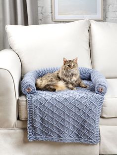 a cat is sitting on a couch with a blanket