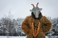 a goat in a fur coat with horns and bells on it's head standing in the snow