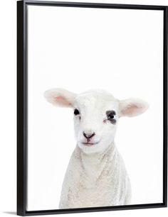 a white sheep looking at the camera with a black frame on it's wall