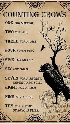 One For Sorrow, Spells For Beginners, Counting Crows, Wiccan Magic, Witch Spirituality, Grimoire Book, Magic Spell Book, A Crow, Wiccan Spell Book