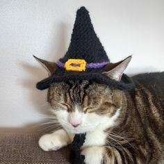 a cat is wearing a knitted witches hat