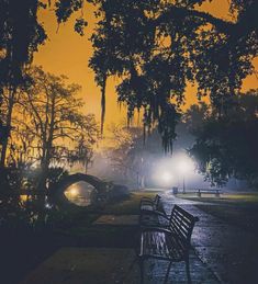 two park benches sitting next to each other on a wet sidewalk at night with street lights in the background