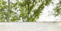 a skateboarder is doing a trick in the air on a ramp near some trees