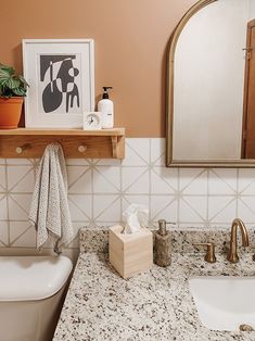 a bathroom with a sink, mirror and toilet paper dispenser on the counter