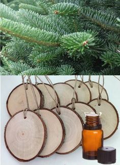 several different types of wooden ornaments hanging from a pine tree with text overlay that says diy wood slice ornaments