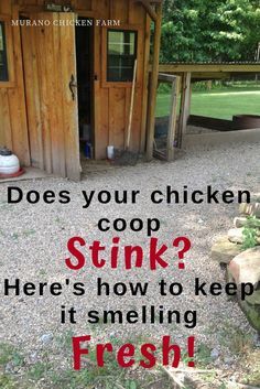 a chicken coop with the words, does your chicken coop stink? here's how to keep it's smelling fresh