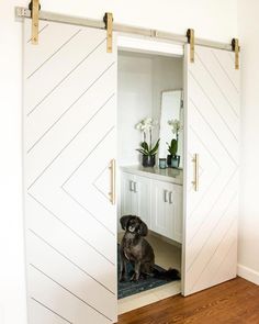 a dog is sitting in the open closet door