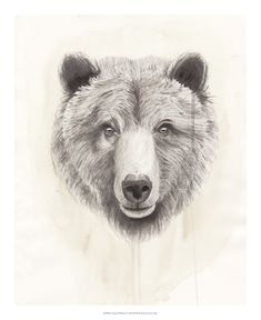 a black and white drawing of a bear's head in a framed wood frame