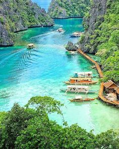 several boats floating on top of a river next to lush green hills and trees in the background