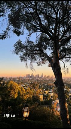 a view of the city from atop a hill in los angeles, california at sunset