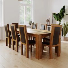 a dining room table with chairs and a potted plant