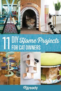 the cover of 11 diy home projects for cat owners