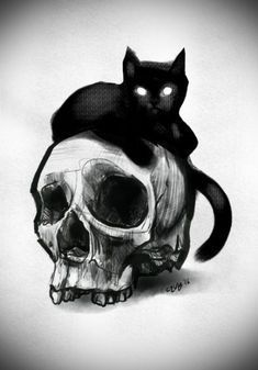 a black cat sitting on top of a skull