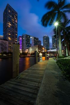 the city skyline is lit up at night, with palm trees and buildings in the foreground