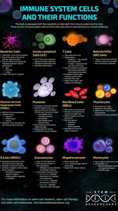 an information poster describing the different types of cell phones and how they are used to help them