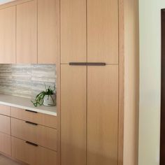 an empty kitchen with wooden cabinets and white counter tops, along with a potted plant