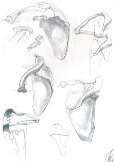 sketches of different shapes and sizes of human body parts, including the head, neck, and arm