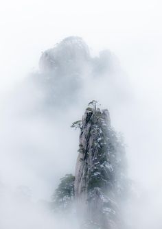 a lone tree on top of a mountain in the foggy weather with low hanging clouds