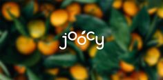 the word jocy is surrounded by oranges and leaves