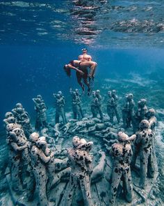 a man swimming in the ocean next to corals and other marine life on display