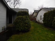 two houses with bushes in front of them and one house on the other side,