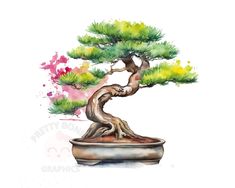 a watercolor painting of a bonsai tree