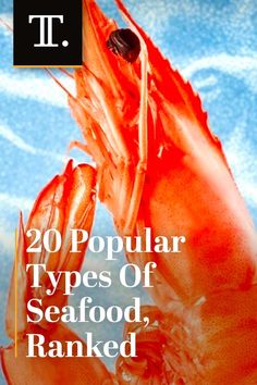 an orange shrimp with the words 20 popular types of seafood, ranked on it