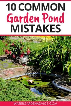 garden pond with text overlay that says 10 common garden pond mistakes on it