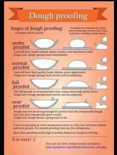 an info poster describing dough proofing