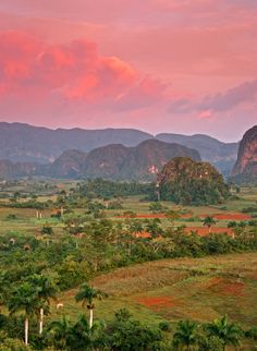 the mountains are covered in trees and grass as the sun is setting over them with pink clouds