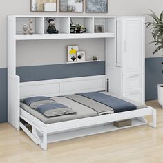 Hokku Designs Maykell Murphy Bed | Wayfair Bed With Closet, Queen Size Murphy Bed, Murphy Bed Wall, Murphy Wall Beds, Bed White, Bathroom Remodel Tile, Versatile Furniture, Wall Bed, Bed Desk