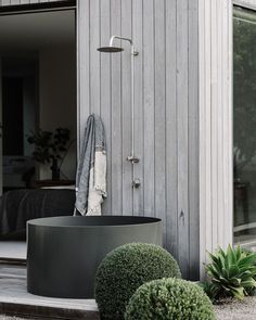 a bath tub sitting on top of a wooden floor next to a lush green plant