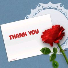 a red rose sitting next to a thank you card