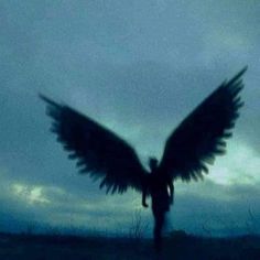 the silhouette of a person with wings outstretched in front of an overcast blue sky