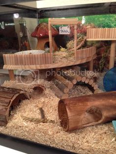 a display case filled with lots of fake wood