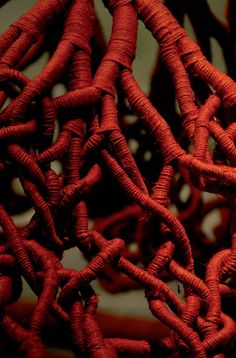 some red ropes are hanging from the ceiling