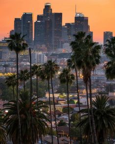 the city skyline with palm trees and buildings in the foreground at sunset or dawn