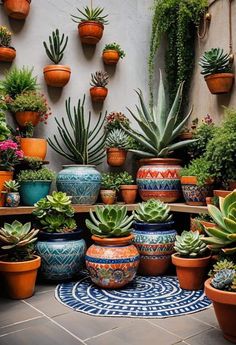 there are many potted plants on the ground in front of a wall with succulents