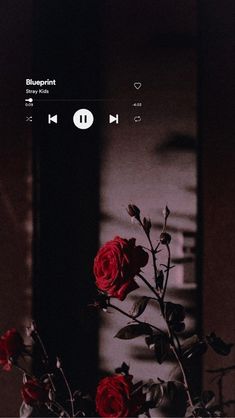 a vase filled with red roses sitting on top of a table