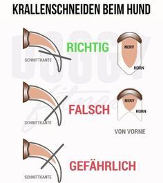 the different types of hair that are used for each type of headgear in german