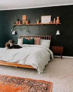 a dog laying on a bed in a bedroom with dark green walls and rugs