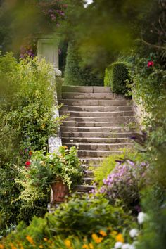 an outdoor stairway with flowers and bushes surrounding it