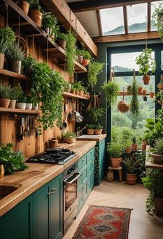 a kitchen filled with lots of potted plants and hanging pots on the wall above the stove