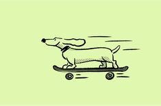 a drawing of a dog riding a skateboard on a green background with black outline