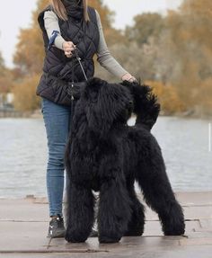 a woman walking her black dog on a leash