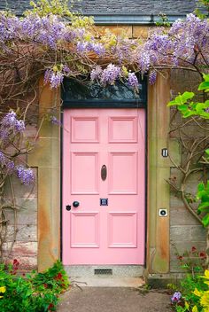 a pink door is surrounded by purple flowers