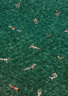 many people are swimming in the ocean together