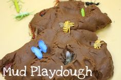 a cookie with chocolate frosting and bugs on it